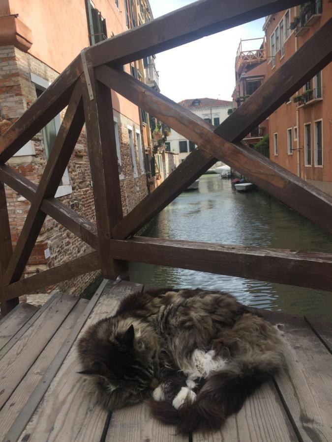 Mori 1 Con Bella Vista Nuovo Appartamento Venezia Esterno foto